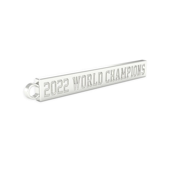 Pin on Houston Astros Champions 2022