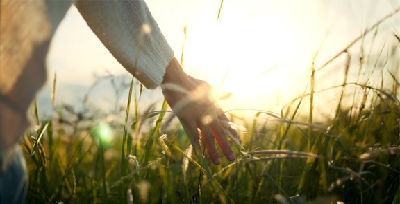 Sustainability Build A Brighter Future With Jostens