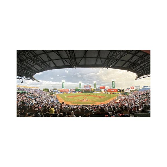 TIGRES DEL LICEY PROFESSIONAL BASEBALL TEAM