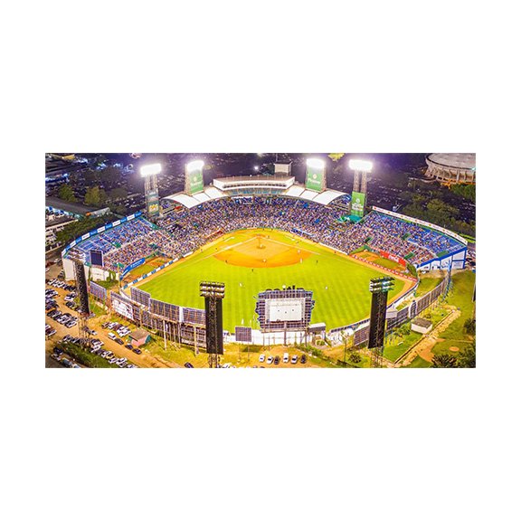 TIGRES DEL LICEY PROFESSIONAL BASEBALL TEAM