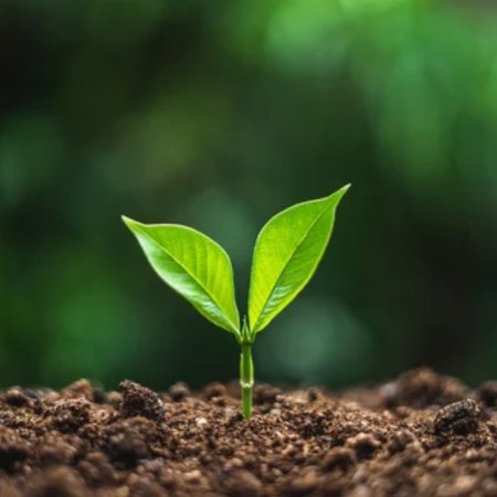 We routinely evaluate our climate resiliency and strive to minimize impacts.