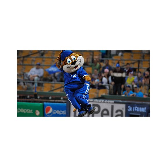 TIGRES DEL LICEY PROFESSIONAL BASEBALL TEAM